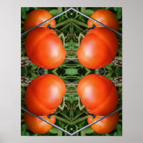Red Ripe Garden Tomatoes On The Vine Abstract  Poster