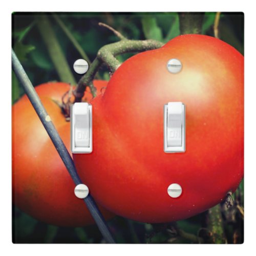 Red Ripe Garden Tomatoes On The Vine   Light Switch Cover