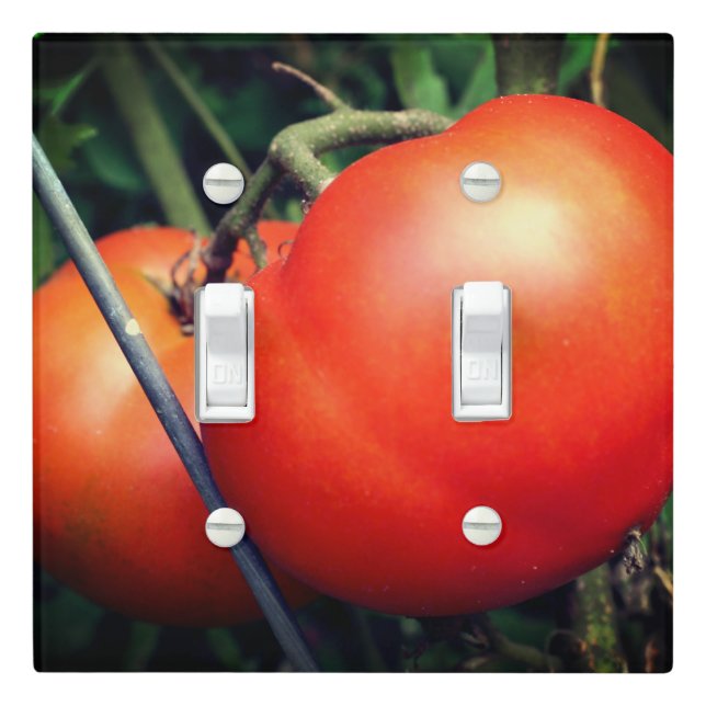 Red Ripe Garden Tomatoes On The Vine   Light Switch Cover (In Situ)