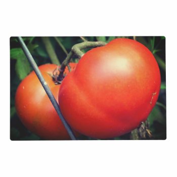 Red Ripe Garden Tomatoes On The Vine  Placemat by SmilinEyesTreasures at Zazzle