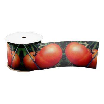 Red Ripe Garden Tomatoes On The Vine Satin Ribbon by SmilinEyesTreasures at Zazzle
