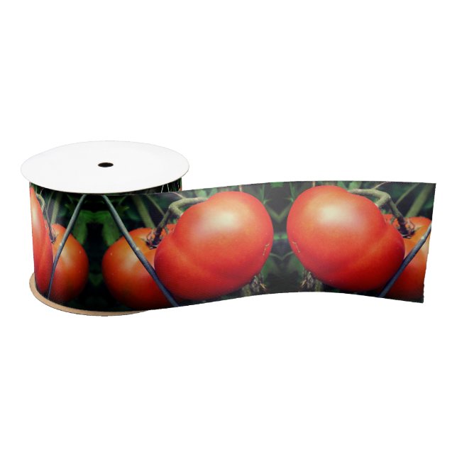 Red Ripe Garden Tomatoes On The Vine Satin Ribbon (Spool)