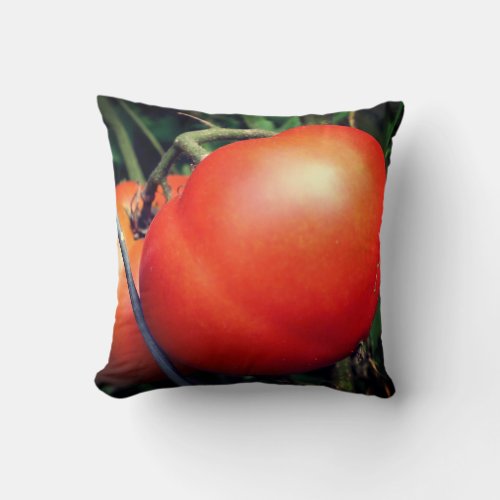 Red Ripe Garden Tomatoes On The Vine  Throw Pillow