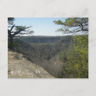 Red River Gorge, KY postcard