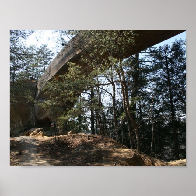 Red River Gorge, KY - Skybridge poster (Front)