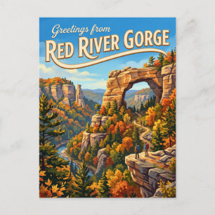 Red River Gorge USA Postcard
