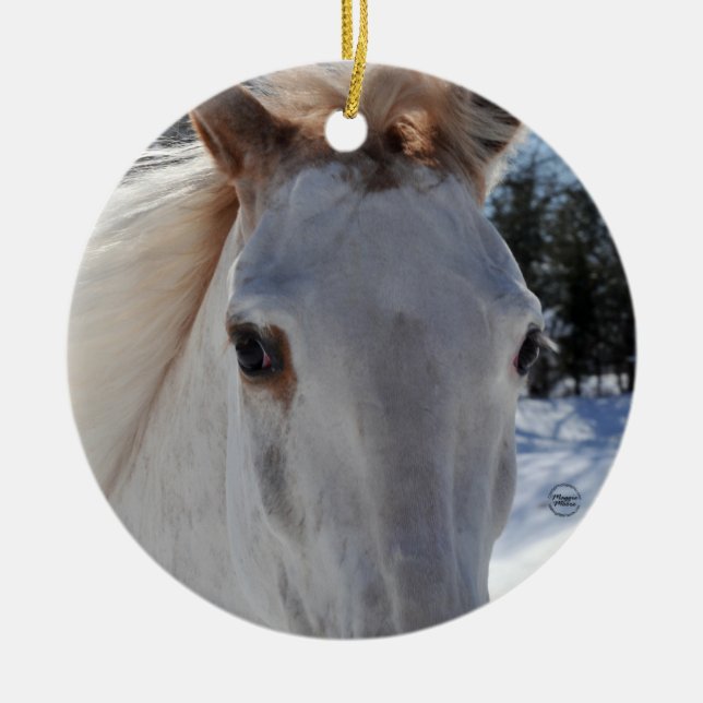 Red Roan Horse Eyes Ceramic Ornament (Front)