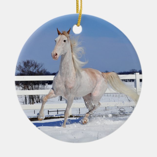 Red Roan in Snow Ceramic Ornament (Front)