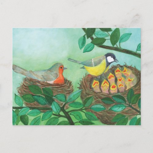 Red Robin and Great Tit Bird Nesting  Holiday Postcard