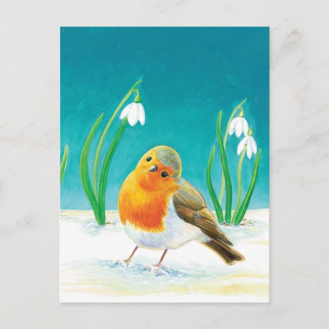 Red Robin Bird (Erithacus rubecula) & Snowdrops Postcard (Front)