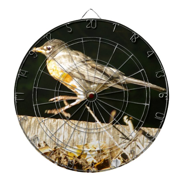Red Robin Bobbin Dart Board (Front)