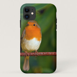 Red ROBIN iPhone 11 Case