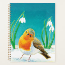 Red Robin Early Spring Snowdrops Illustration