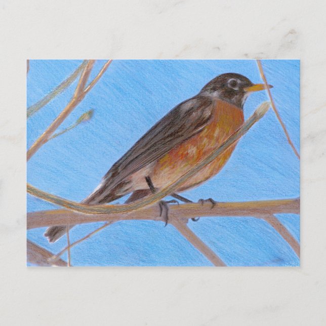 Red Robin Fine Art Nature Postcard (Front)