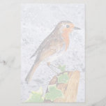 Red robin in the snow art