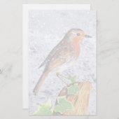 Red robin in the snow art (Front/Back)