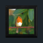 Red ROBIN Jewelry Box<br><div class="desc">Stunning red Robin bird photo gifts,  accessories and decor. Red Robin is a beautiful bird which we enjoy seeing most in winter months with it's sharp red breast feathers contrasting against the White snow. This red Robin is perched on a branch against a clear blue sky.</div>