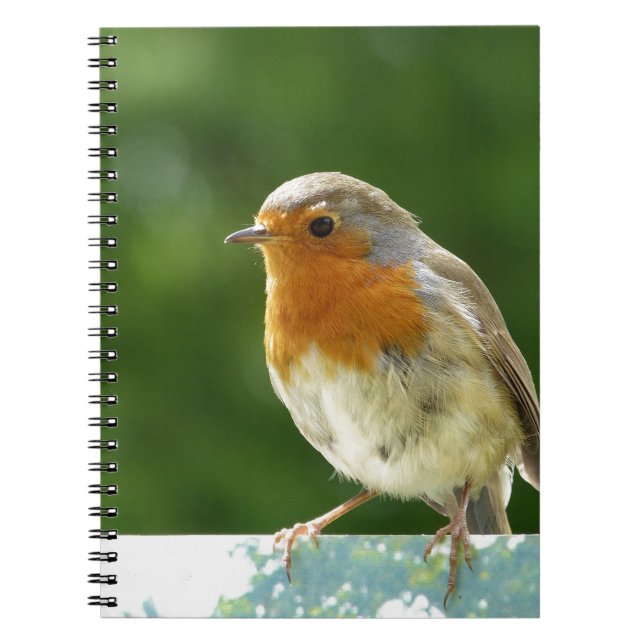 Red Robin Notebook (Front)