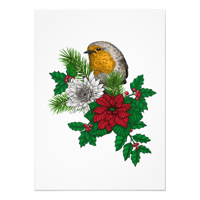 Red robin on Christhmas decoration Photo Print (Front)