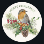 Red robin, pine, cones, holly  mistletoe Christmas Classic Round Sticker<br><div class="desc">Red Robin with an arrangement of pine cones,  holly,  mistletoe and sleigh bells. You can reduce the size of the image and add your text.</div>