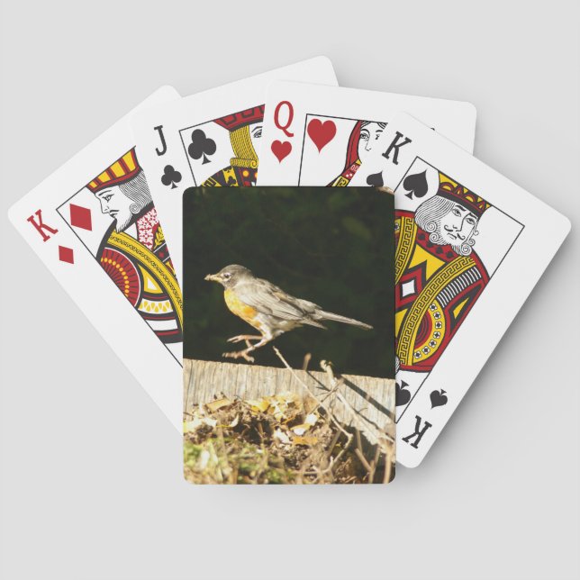 Red Robin Poker Cards (Back)