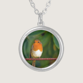 Red ROBIN Silver Plated Necklace