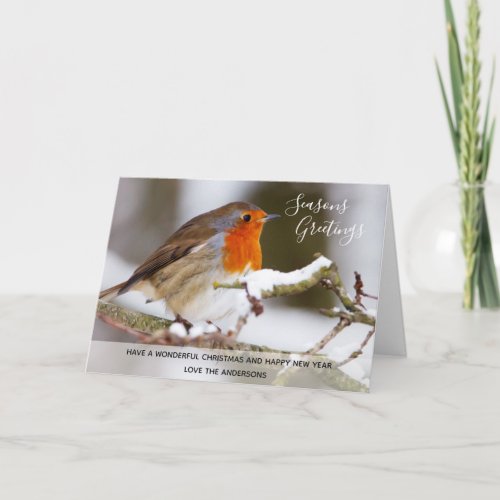 Red Robin Winter Christmas Photo Personalized Holiday Card