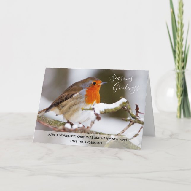 Red Robin Winter Christmas Photo Personalized Holiday Card (Front)