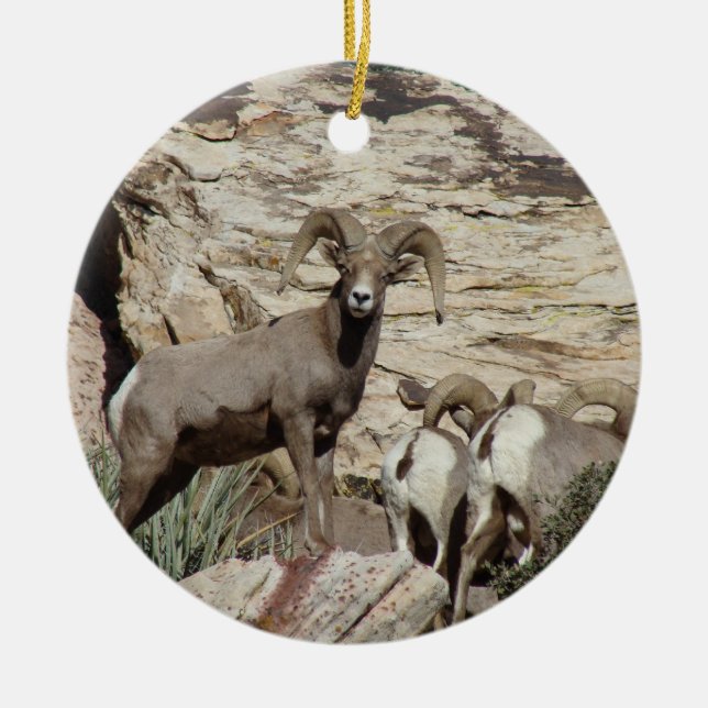 Red Rock Big Horn Sheep Ceramic Ornament (Front)