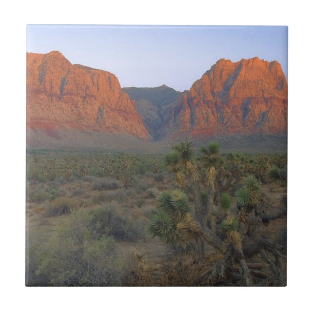 Red Rock Canyon National Conservation Area Ceramic Tile (Front)