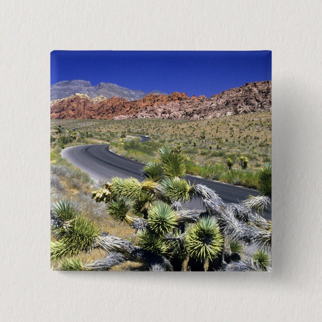 Red Rock Canyon National Conservation Area, Las Pinback Button (Front)