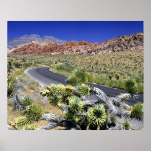 Red Rock Canyon National Conservation Area, Las Poster