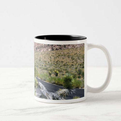 Red Rock Canyon National Conservation Area Las Two_Tone Coffee Mug