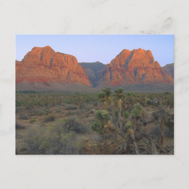 Red Rock Canyon National Conservation Area Postcard (Front)