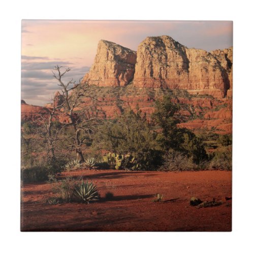 Red Rock Country Ceramic Tile