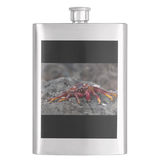 Red rock crab flask (Front)