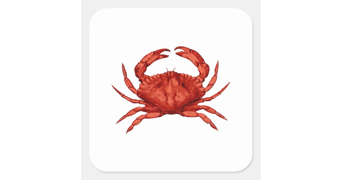 Rock Crab - Pacific