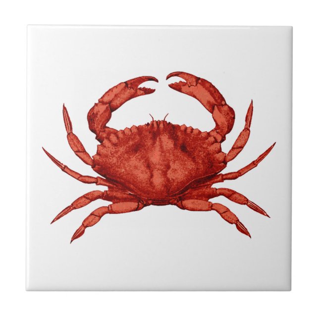 Red Rock Crab (Pacific) Tile (Front)
