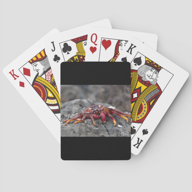 Red rock crab poker cards (Back)