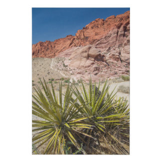 Red Rock Desert Plant Faux Canvas Print