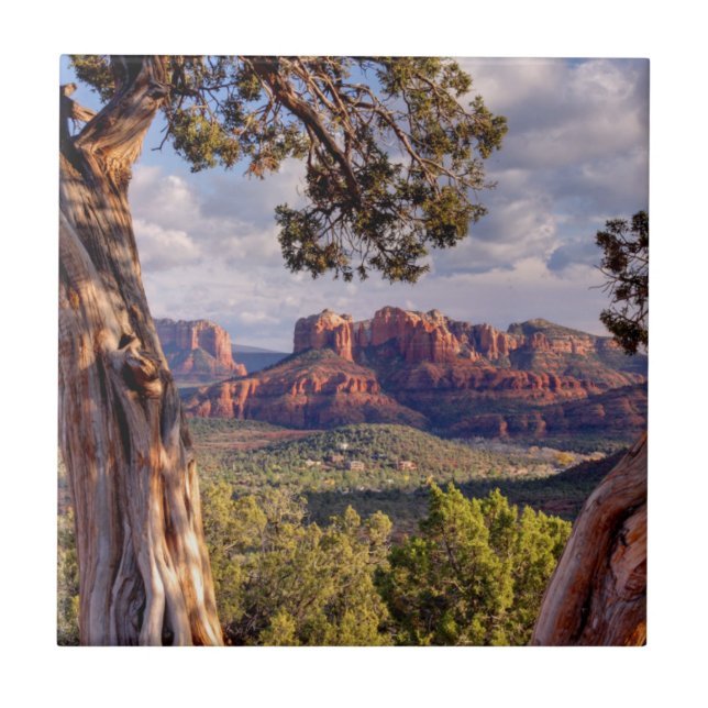 Red Rock | Sedona Arizona Ceramic Tile (Front)