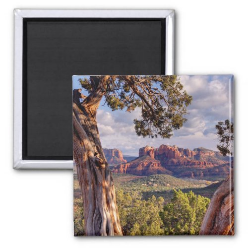 Red Rock  Sedona Arizona Magnet