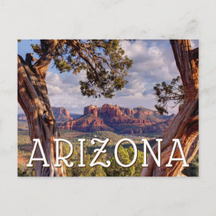 Red Rock   Sedona Arizona Postcard