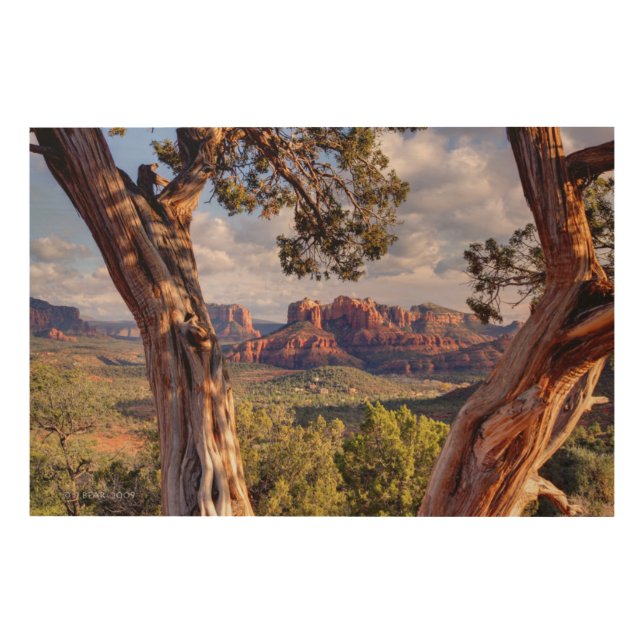Red Rock | Sedona Arizona Wood Wall Art (Front)