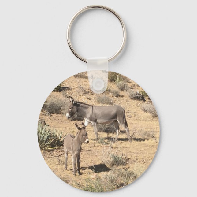 Red rock state park nv donkey keychain (Front)
