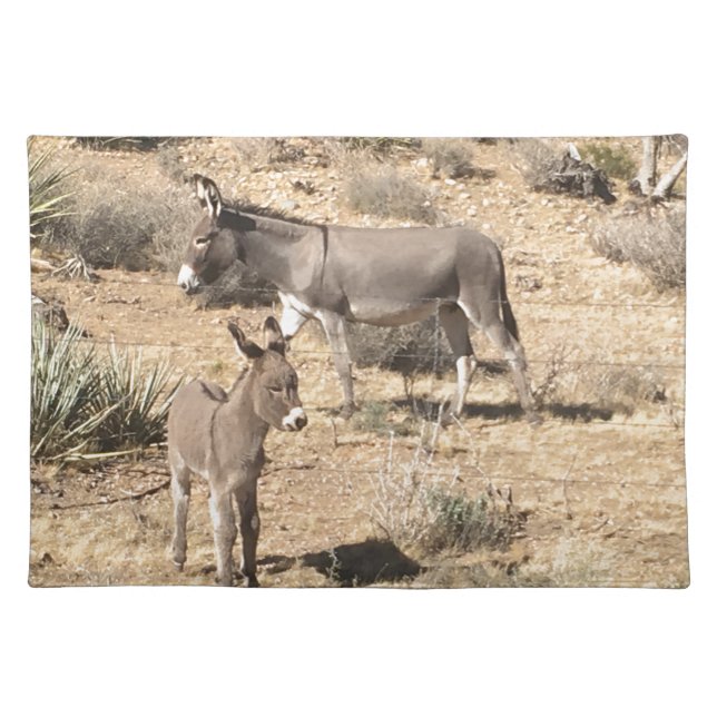 Red rock state park nv donkey placemat (Front)
