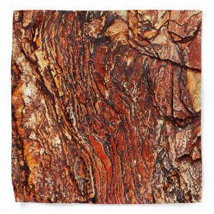 Red Rock Texture Bandana