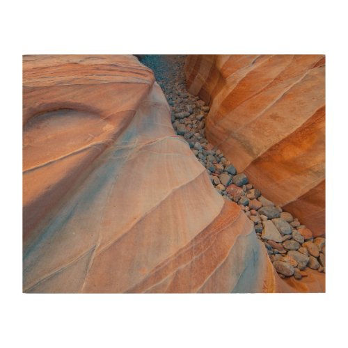 Red Rock Valley of Fire State Park Nevada Wood Wall Art