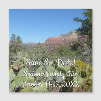 Red Rocks and Cacti I