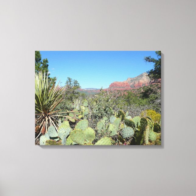 Red Rocks and Cacti I Canvas Print (Front)